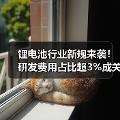 锂电池行业新规来袭！研发费用占比超3%成关键（图2）