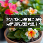 水泥焦化运输将全面转向新能源或国六重卡？（图2）