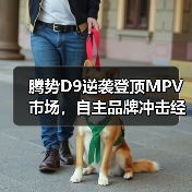 腾势D9逆袭登顶MPV市场,自主品牌冲击经典车型(图1) 腾势D9逆袭登顶MPV市场,自主品牌冲击经典车型(图1)