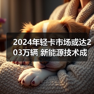 2024年轻卡市场或达203万辆 新能源技术成增长关键(图4) 2024年轻卡市场或达203万辆 新能源技术成增长关键(图4)