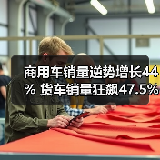 商用车销量逆势增长44% 货车销量狂飙47.5%(图4) 商用车销量逆势增长44% 货车销量狂飙47.5%(图4)