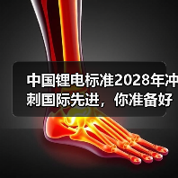 中国锂电标准2028年冲刺国际先进,你准备好了吗?(图4) 中国锂电标准2028年冲刺国际先进,你准备好了吗?(图4)