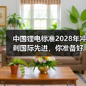 中国锂电标准2028年冲刺国际先进,你准备好了吗?(图3) 中国锂电标准2028年冲刺国际先进,你准备好了吗?(图3)