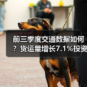 前三季度交通数据如何?货运量增长7.1%投资同步发力(图4) 前三季度交通数据如何?货运量增长7.1%投资同步发力(图4)