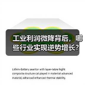 工业利润微降背后,哪些行业实现逆势增长?(图3) 工业利润微降背后,哪些行业实现逆势增长?(图3)