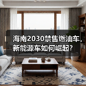 海南2030禁售燃油车,新能源车如何崛起?(图2) 海南2030禁售燃油车,新能源车如何崛起?(图2)