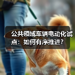 公共领域车辆电动化试点:如何有序推进?(图4) 公共领域车辆电动化试点:如何有序推进?(图4)