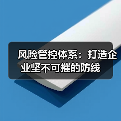 风险管控体系:打造企业坚不可摧的防线(图3) 风险管控体系:打造企业坚不可摧的防线(图3)