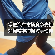 掌握汽车市场竞争先机 如何精准捕捉对手动向?(图3) 掌握汽车市场竞争先机 如何精准捕捉对手动向?(图3)