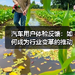 汽车用户体验反馈：如何成为行业变革的推动力？（图2）