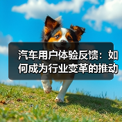 汽车用户体验反馈：如何成为行业变革的推动力？（图4）