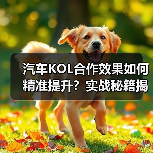 汽车KOL合作效果如何精准提升？实战秘籍揭秘（图3）