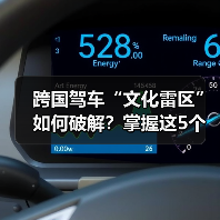 跨国驾车“文化雷区”如何破解?掌握这5个技巧(图4) 跨国驾车“文化雷区”如何破解?掌握这5个技巧(图4)