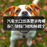 汽车出口资质要求有哪些?破解门槛和秘籍全解析(图3) 汽车出口资质要求有哪些?破解门槛和秘籍全解析(图3)