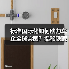 标准国际化如何助力车企全球突围？揭秘隐藏密码（图2）