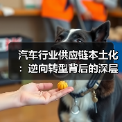 汽车行业供应链本土化：逆向转型背后的深层机遇