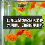 挂车支腿齿轮箱润滑保养周期,真的按手册吗?(图4) 挂车支腿齿轮箱润滑保养周期,真的按手册吗?(图4)